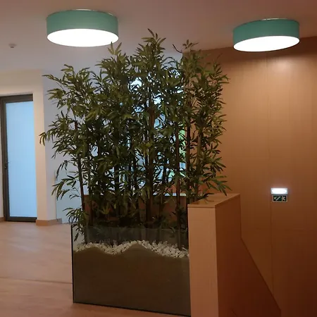 Ansiturismo Hotel Ancião